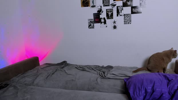 ladytrep Couple Chaturbate 13-09-2025