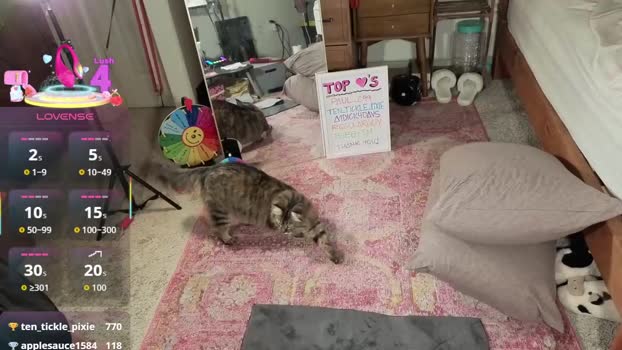 ur_good_gal Female Chaturbate 14-09-2025