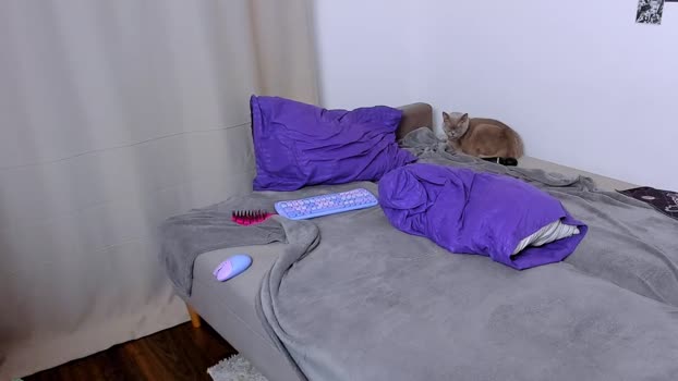 ladytrep Couple Chaturbate 15-09-2025