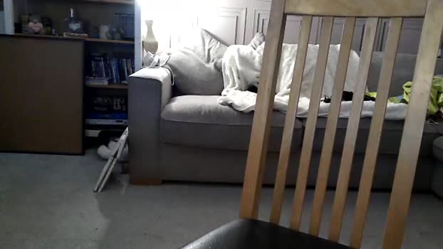 funcouple4282 Couple Chaturbate 26-09-2025