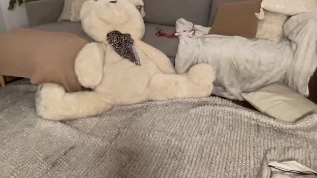 shysashy Female Chaturbate 10-10-2025