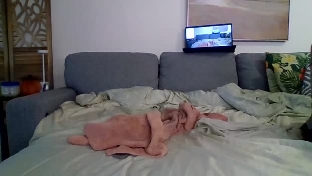bigjoed233 Couple Chaturbate 12-10-2025