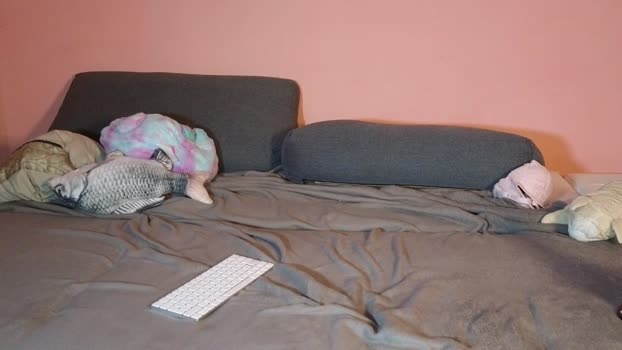 katusha008 Couple Chaturbate 15-10-2025