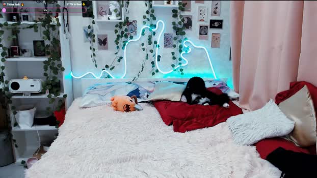 meow_on_da_cam Couple Chaturbate 15-10-2025