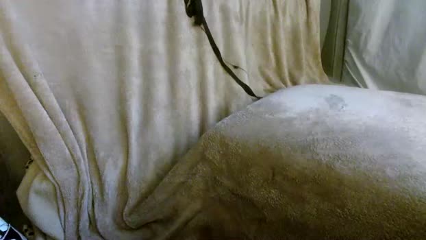 bonnieanclyde09 Couple Chaturbate 16-10-2025