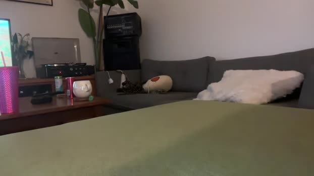 foxyone01 Couple Chaturbate 18-10-2025