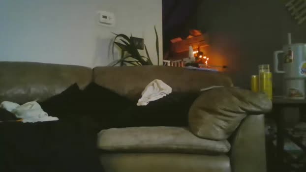 tattooedtoybox2 Couple Chaturbate 21-10-2025