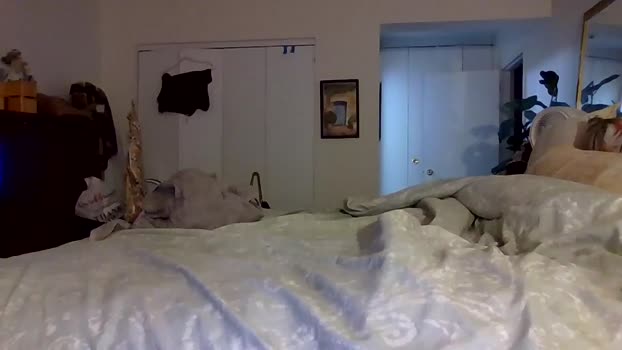 bigjoed233 Couple Chaturbate 22-10-2025