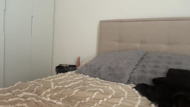 ava_delightt Female Chaturbate 27-10-2025