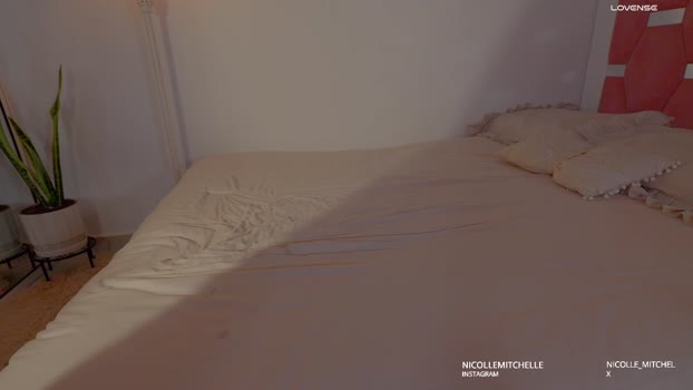 nicolle_mitchelle Female Chaturbate 04-11-2025