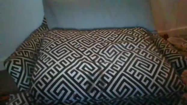 sexxxyvibes Female Chaturbate 07-11-2025
