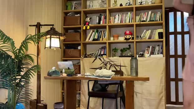 yuanlili Female Chaturbate 22-11-2025