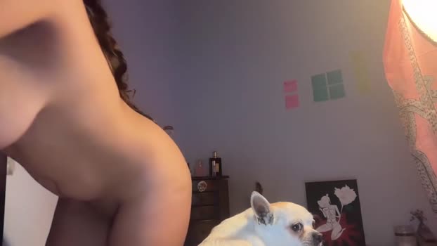 avangelinefunn99 Female Chaturbate 29-11-2025