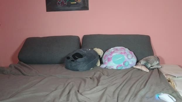 katusha008 Couple Chaturbate 03-12-2025