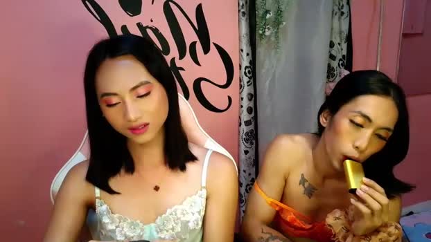 fairy_twinse