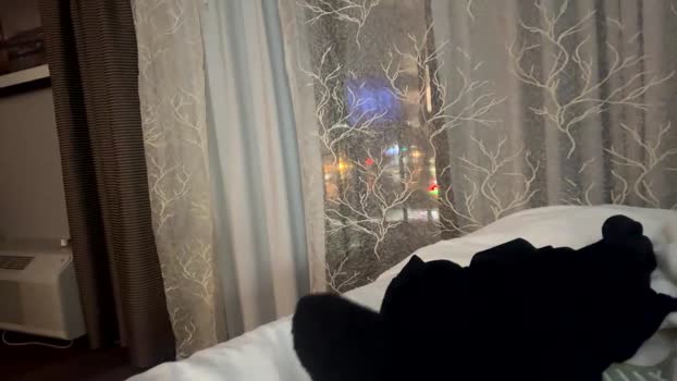 getitdaddyplease Couple Chaturbate 19-12-2025