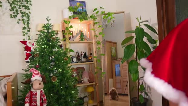 eli_sun Female Chaturbate 22-12-2025