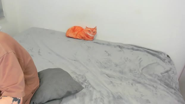 raveneusbiter Couple Chaturbate 27-12-2025