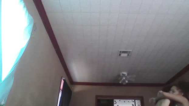jojosbizarrelyf Couple Chaturbate 28-12-2025