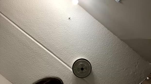 notsoguiltypleasure Couple Chaturbate 01-01-2026