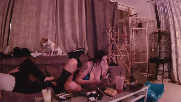 eldad3371 Couple Chaturbate 01-01-2026