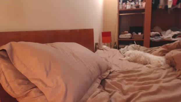 andrasweetie Couple Chaturbate 04-01-2026