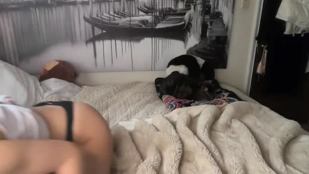 anyaa777 Female Chaturbate 05-01-2026