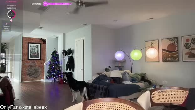 xstellabeex Female Chaturbate 09-01-2026