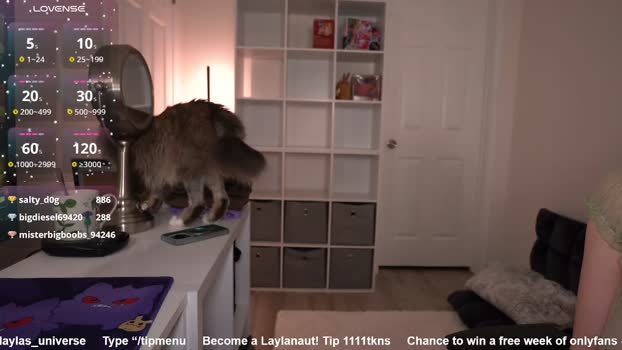 laylas_universe Female Chaturbate 16-01-2026