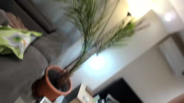 misspanthera Couple Chaturbate 25-01-2026