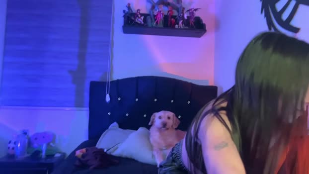 nocturnallovers_ss Couple Chaturbate 30-01-2026