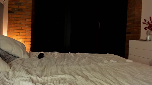 rachel_rey Couple Chaturbate 02-02-2026