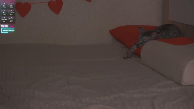 beatris_mils Couple Chaturbate 04-02-2026