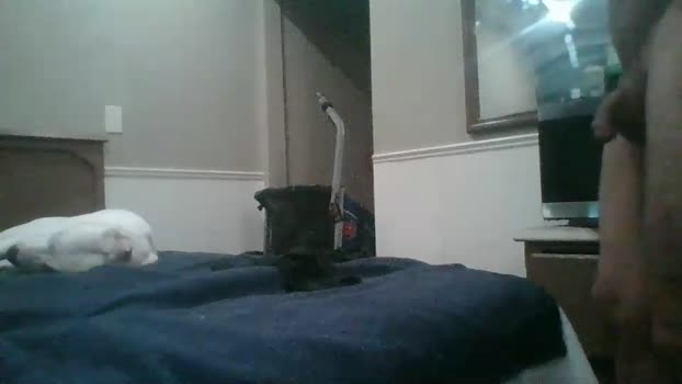 krypto2747 Couple Chaturbate 09-02-2026