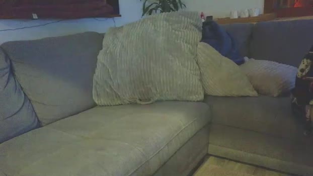 emyxxl Couple Chaturbate 12-02-2026