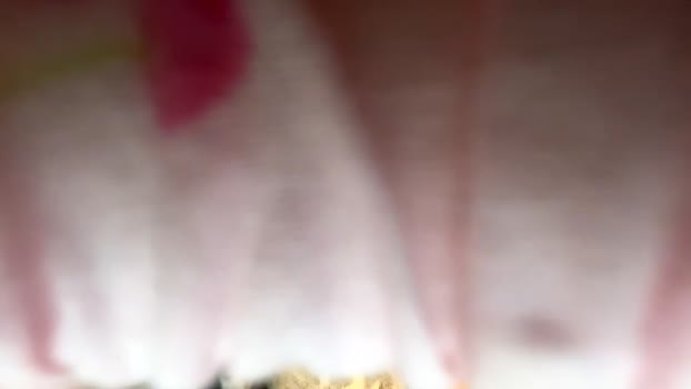essence90210 Female Chaturbate 17-02-2026