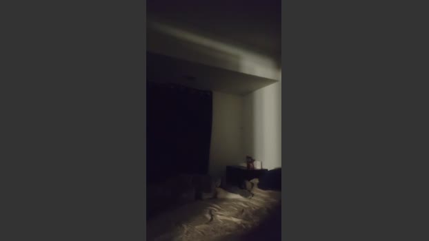 jsaisrien83 Couple Chaturbate 24-02-2026