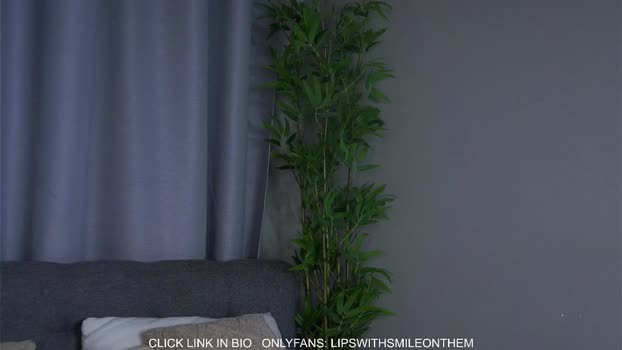 lipswithsmileonthem Female Chaturbate 28-02-2026