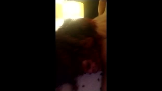 velvetbtwus Couple Chaturbate 04-03-2026