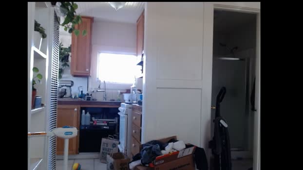 rosegold18 Female Chaturbate 08-03-2026