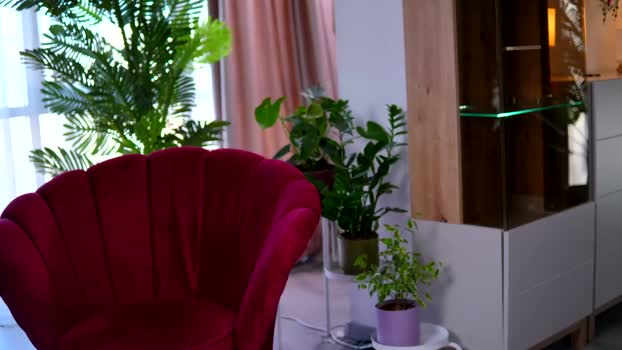zenyanoir Female Chaturbate 10-03-2026