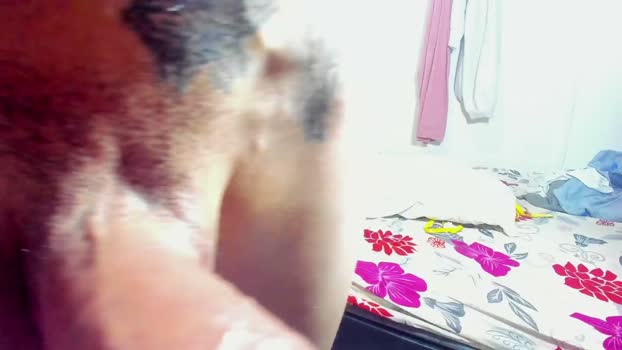 euphoriaparty Couple Chaturbate 13-03-2026