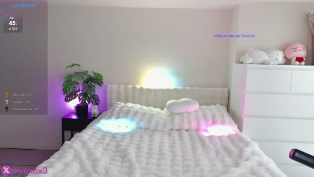 uwuxo Female Chaturbate 24-03-2026