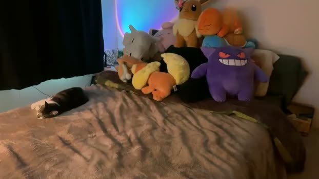 itssheababy Female Chaturbate 01-04-2026
