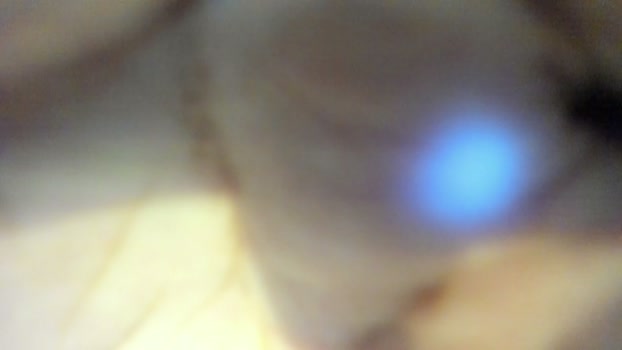 yourlovelyjenny Couple Chaturbate 04-04-2026
