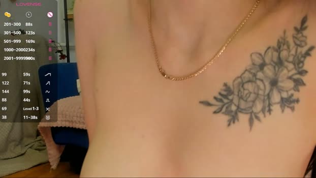 silvernoise Female Chaturbate 07-04-2026