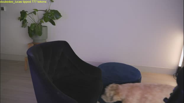 doubedeesarai Female Chaturbate 15-04-2026