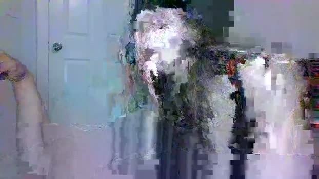 wecum2getdown Couple Chaturbate 15-04-2026