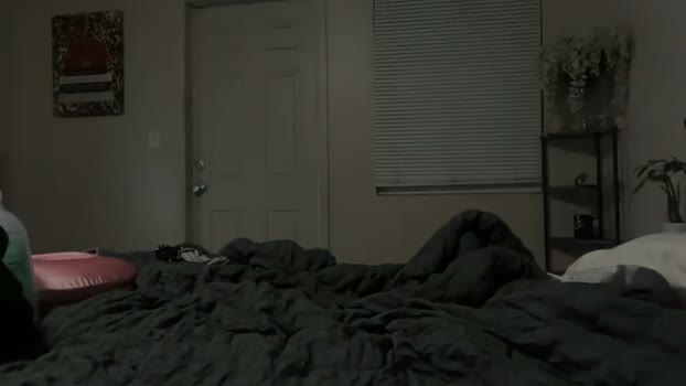 therealferrarii Couple Chaturbate 16-04-2026