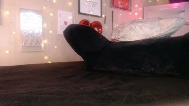 milf_lacey 01-05-2026 Cam Show fuckher sexygirl